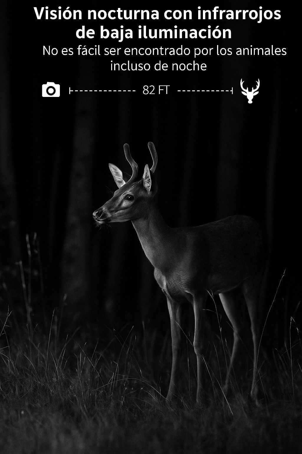 Cámara de fototrampeo 4G y placa solar