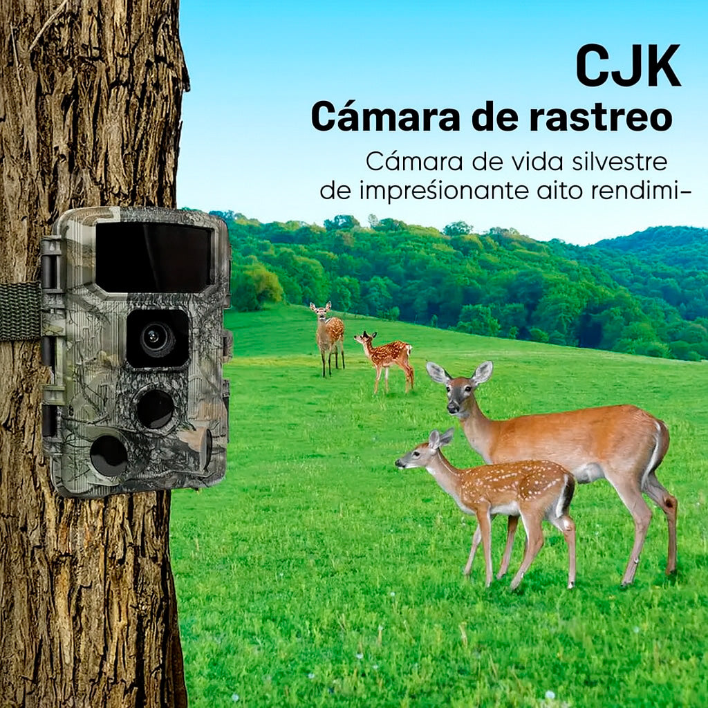 Vista frontal cámara trail 84MP con WiFi